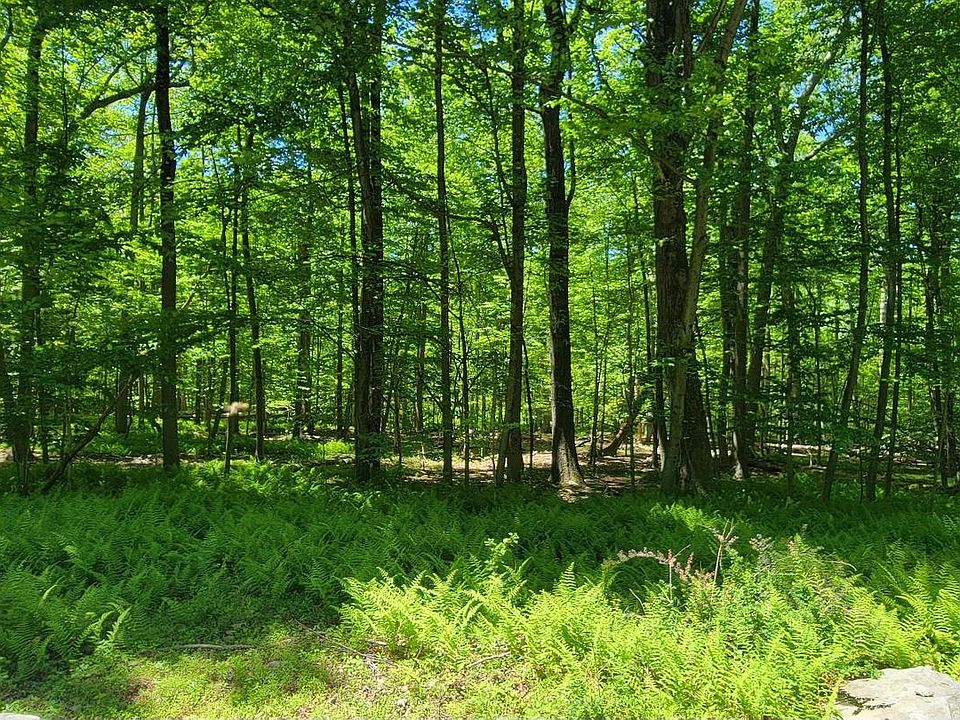 1st image of Mink Farm Rd