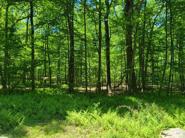 Mink Farm Rd, Thurmont, MD 21788