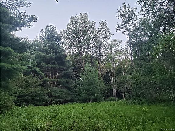 3rd image of Old White Lake Tpke