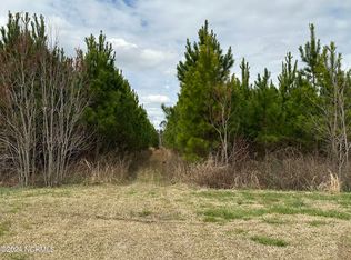 1669 Near Klondyke Rd, Chadbourn, NC 28431