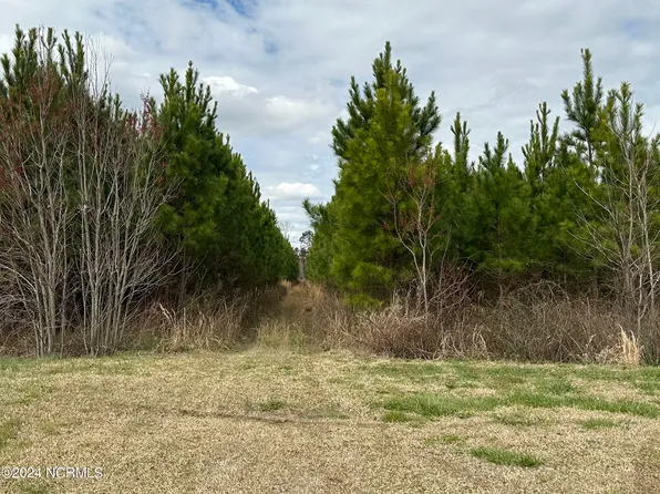 Near 1669 Klondyke Road, Chadbourn, NC 28431