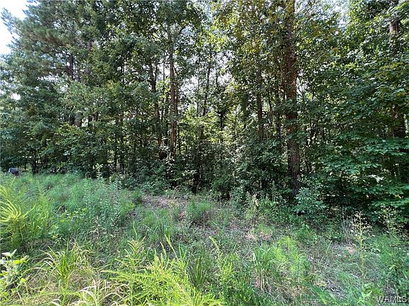 4th image of LOT 6 Ann Marie Dr
