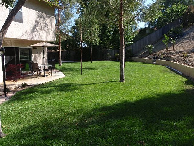 backyard view