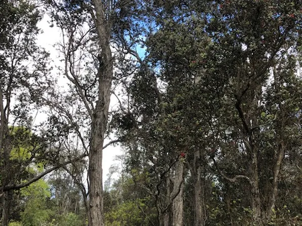 Lehua Ln Lot 16, Ocean View, HI 96737
