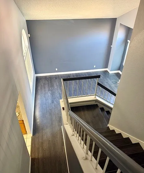 8383 Brad Oaks Cir — Photo 8