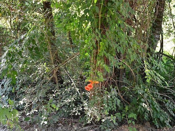 5th image of LOT 34 Cherry Dr