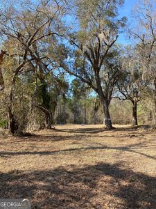 2-1189 Janells River Dr, Folkston, GA, 31537