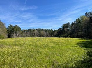 83 Hub Davis Rd, Lumberton, MS 39455