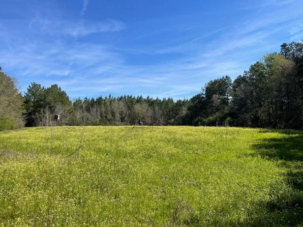 83 Hub Davis Rd, Lumberton, MS 39455