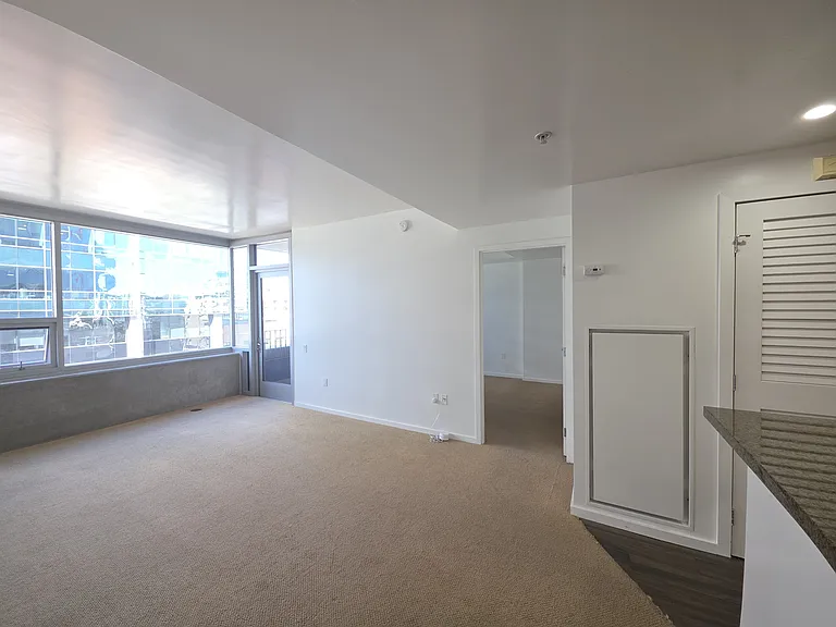 321 10th Ave #804 — Photo 21