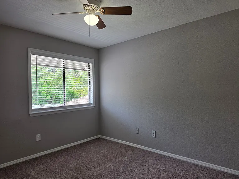 162 Olive Tree Cir — Photo 27