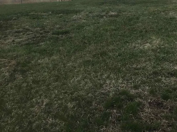 710 3rd St, Parkersburg, IA 50665