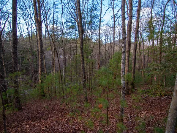 1 Rock Crk, Cherry Log, GA 30522