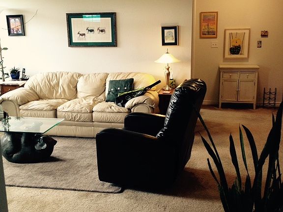 Large Living Room with South windows