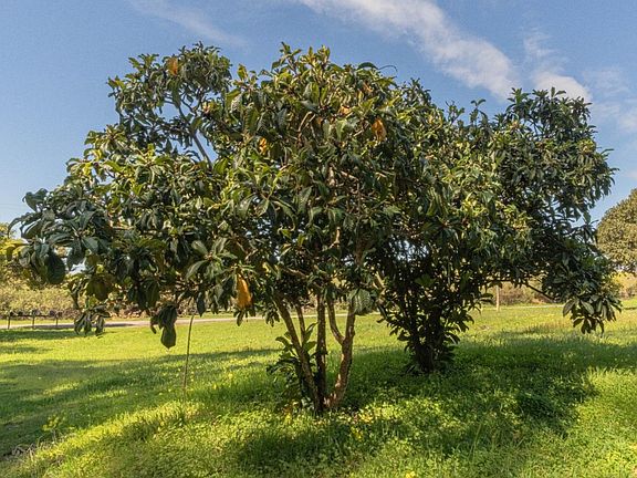 5th image of 16787 Blackie Rd