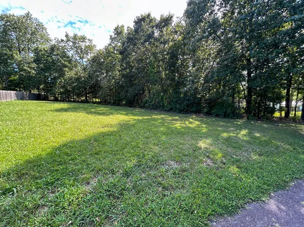 000 Joshua Drive, Mountain View, MO 65548