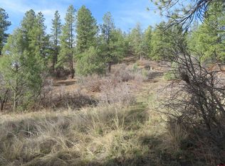 313 Cool Pines Drive, Pagosa Springs, CO 81147