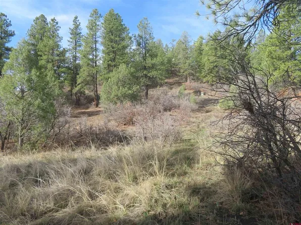 313 Cool Pines Drive, Pagosa Springs, CO 81147