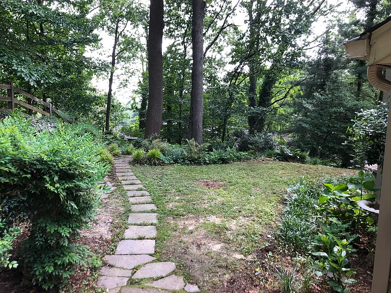 Backyard path to woods