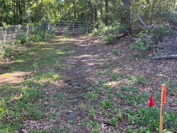 5364 Old Military Rd, Adams Run, SC 29426