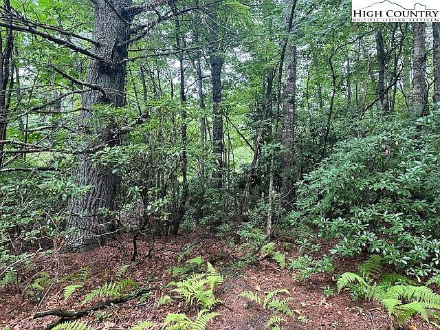 1st image of Lot 105 Meadow Lane or Green Leaf Drive