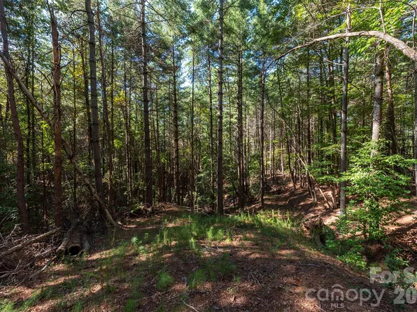 LOT 86 Crest View Dr, Nebo, NC 28761