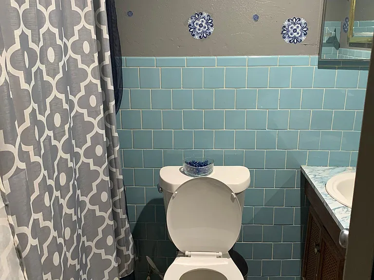 Master bathroom