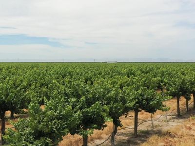 20650 Road 21, Madera, CA, 93637