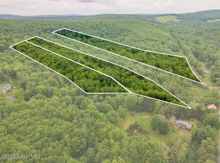 LOT 5.09 Babcock Hill Rd, Worcester, NY 12197