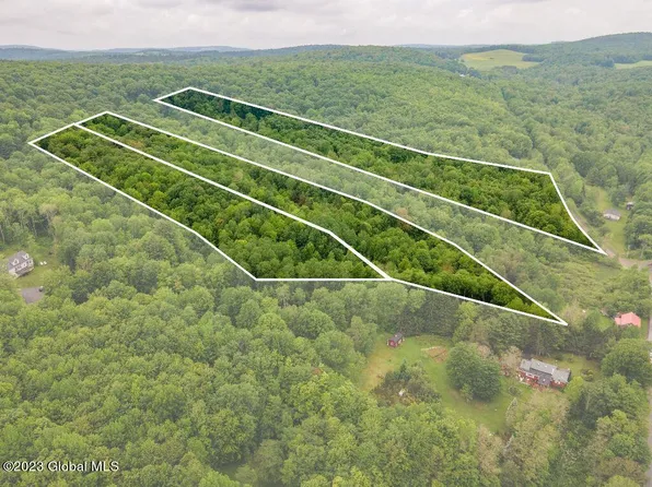 Lot 5.09 Babcock Hill Road, Worcester, NY 12197