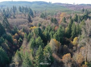 0 State Highway 6 #PE, Pe Ell, WA 98572