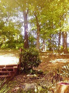 2nd image of 3037 Cliffside Rd
