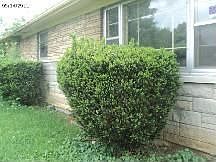 4th image of 5861 Laurel Hall Dr