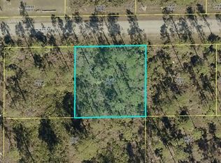 705 W 9th St, Lehigh Acres, FL 33972