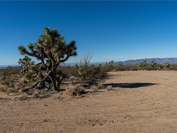 3rd image of 244-08-141 E Navajo Drive