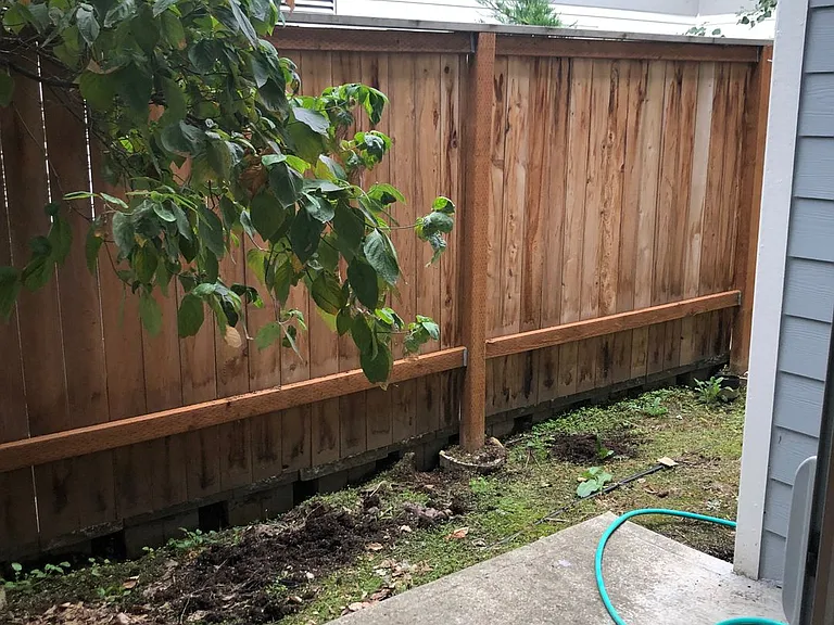 18rosa — Photo 12