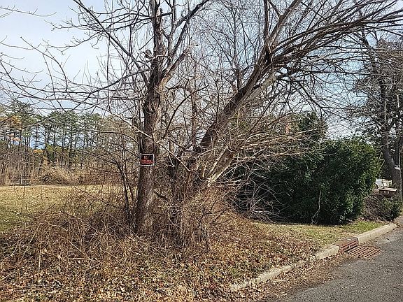 3rd image of 74 Kettle Creek Dr