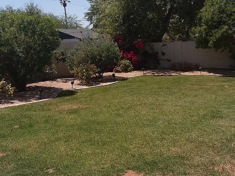 Large backyard.