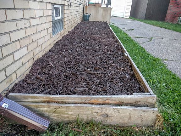 Southern Facing Garden Bed