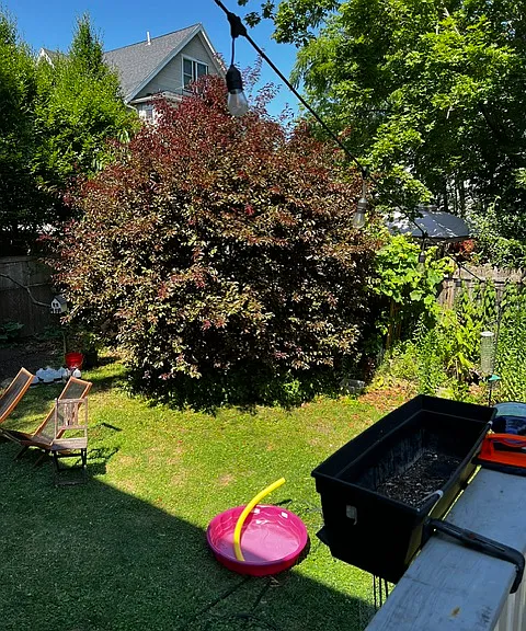 163 Roslindale Ave #2 — Photo 21
