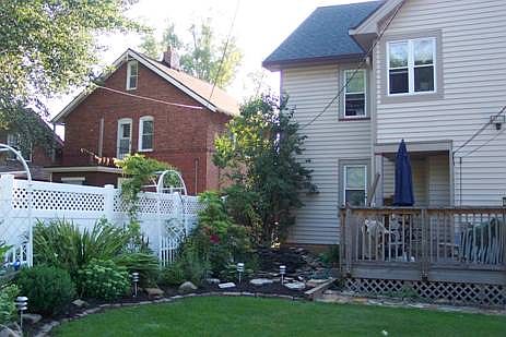 back yard look