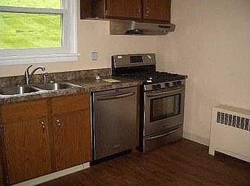Stainless steel dishwasher and stove.