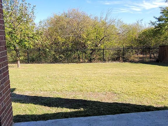 Back yard