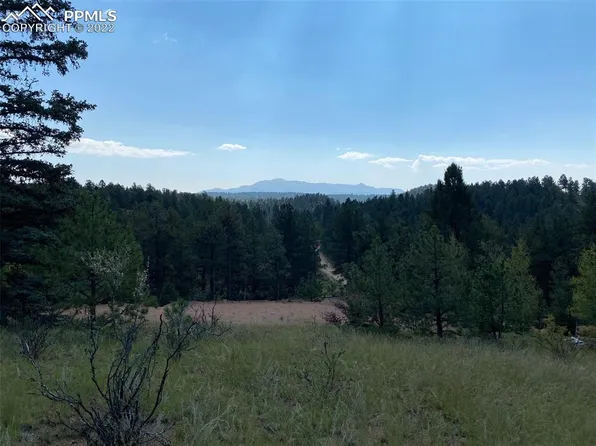 151 Chipeta Creek Trl, Florissant, CO 80816