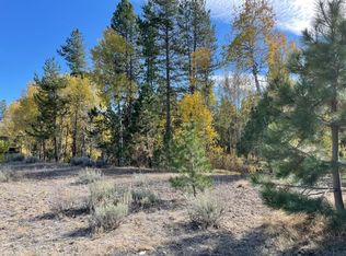 163 Morgan Dr, McCall, ID 83638