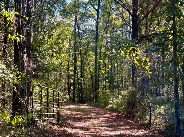 Swinson Rd, Red Level, AL 36474