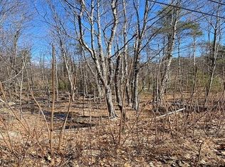 Witchtrot Rd, East Wakefield, NH 03830