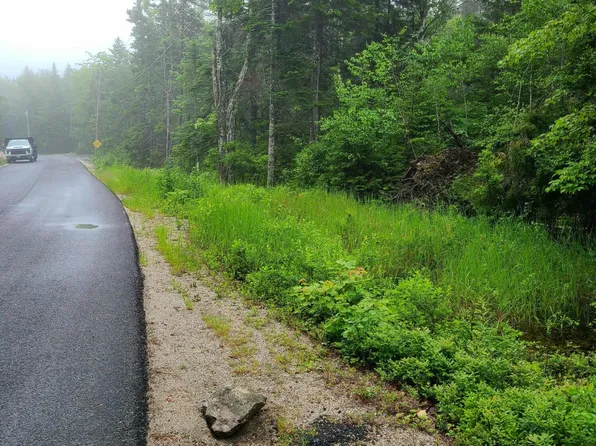Lot 52 Paul Bunyan Road, Gouldsboro, ME 04607