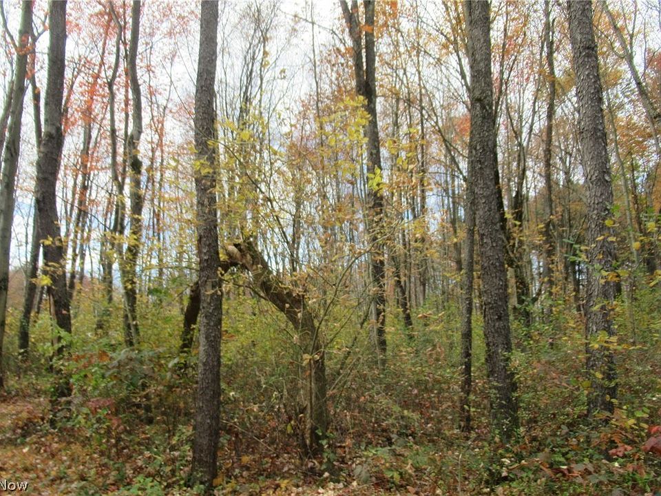 6070 Waynesburg Rd NW, Dellroy, OH 44620 MLS 4419682 Zillow