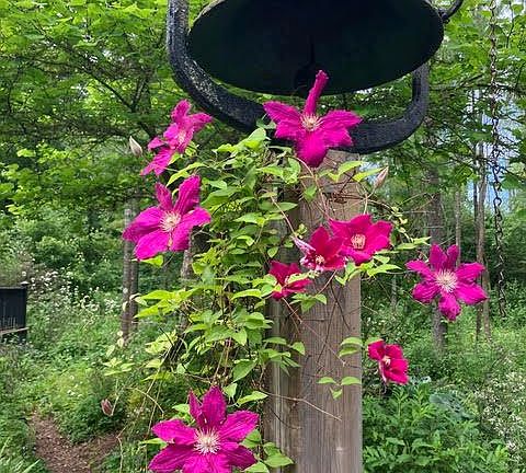 5th image of 602 Elmbrook Rd